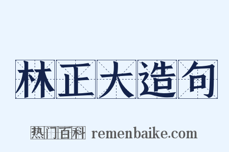 林正大造句是什么意思的图片